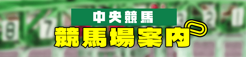 全中央競馬場