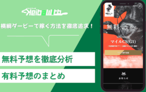 横綱ダービー画像